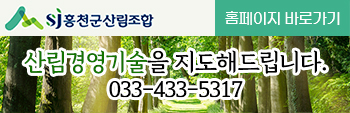 홍천군산림조합 산림경영기술을 지도해드립니다. 전화:033-433-5317 홈페이지 바로가기 클릭시 산림조합 홈페이지 이동