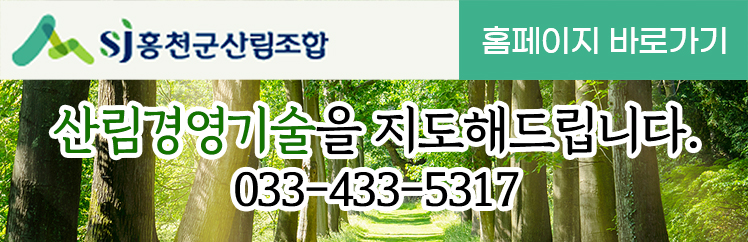 홍천군산림조합 산림경영기술을 지도해드립니다. 전화:033-433-5317 홈페이지 바로가기 클릭시 산림조합 홈페이지 이동
