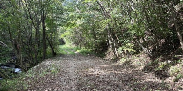  홍천 백두대간 트레일 22.8km 정비 완료